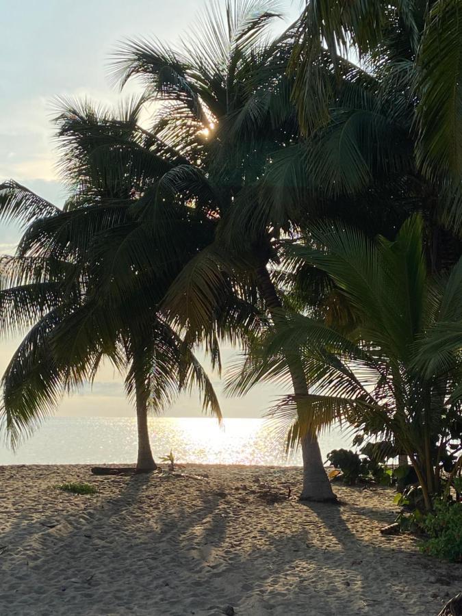 Anda Di Hows Hostel Placencia Luaran gambar