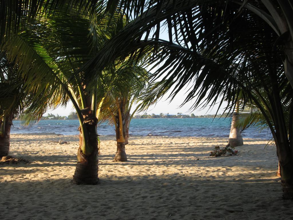 Anda Di Hows Hostel Placencia Luaran gambar