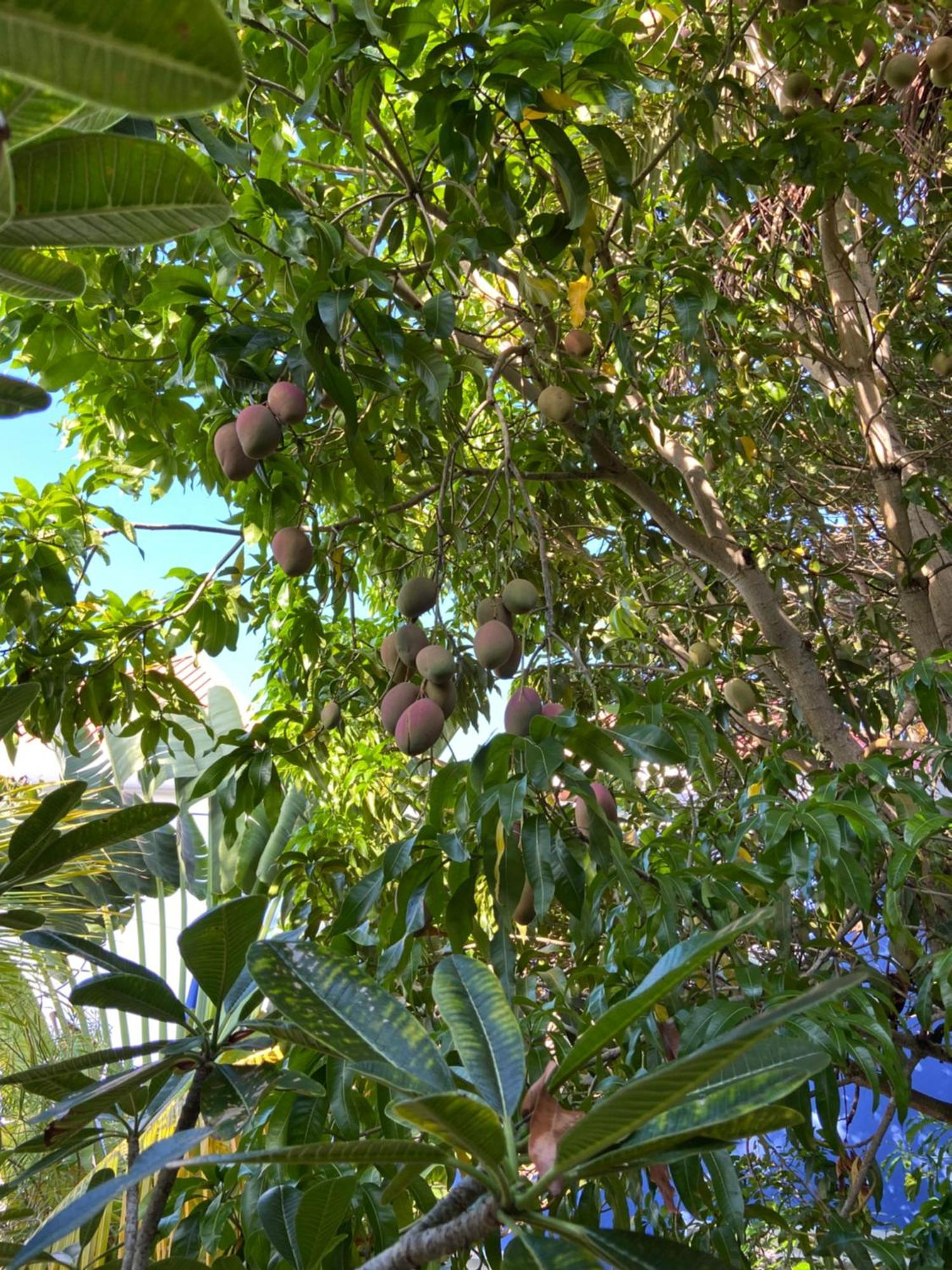 Anda Di Hows Hostel Placencia Luaran gambar