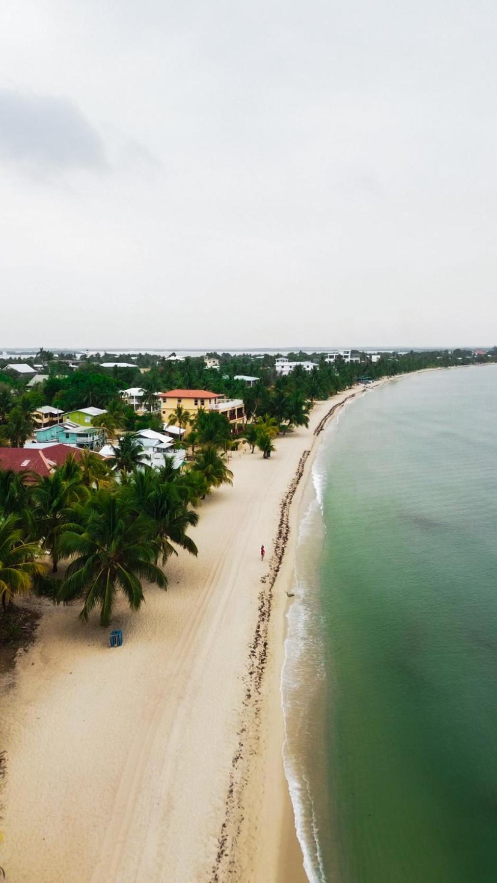 Anda Di Hows Hostel Placencia Luaran gambar