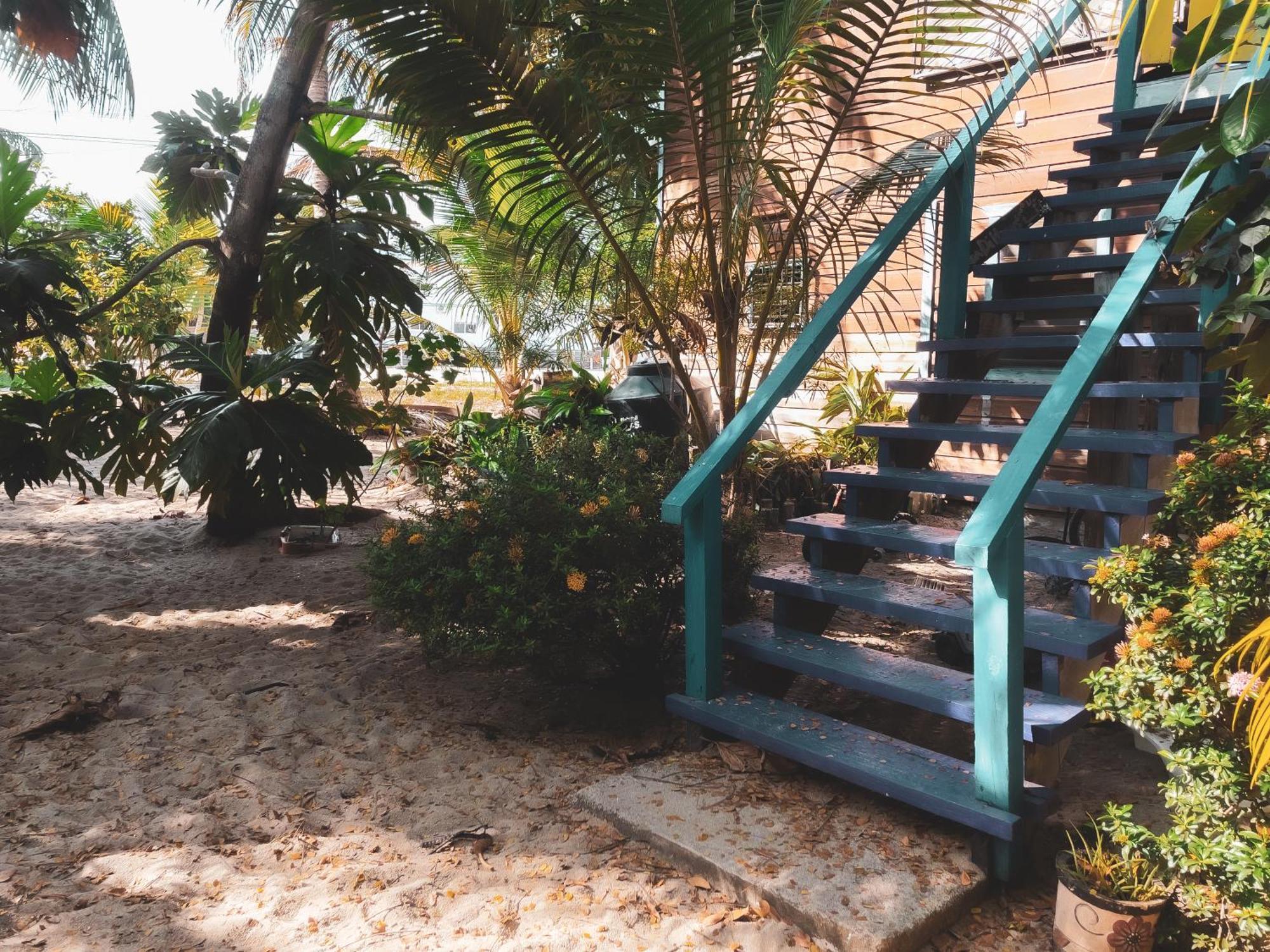 Anda Di Hows Hostel Placencia Luaran gambar