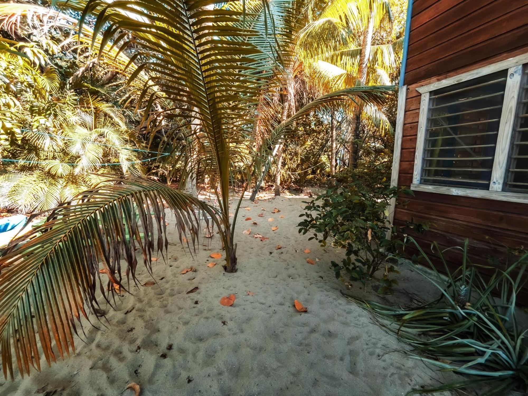 Anda Di Hows Hostel Placencia Luaran gambar
