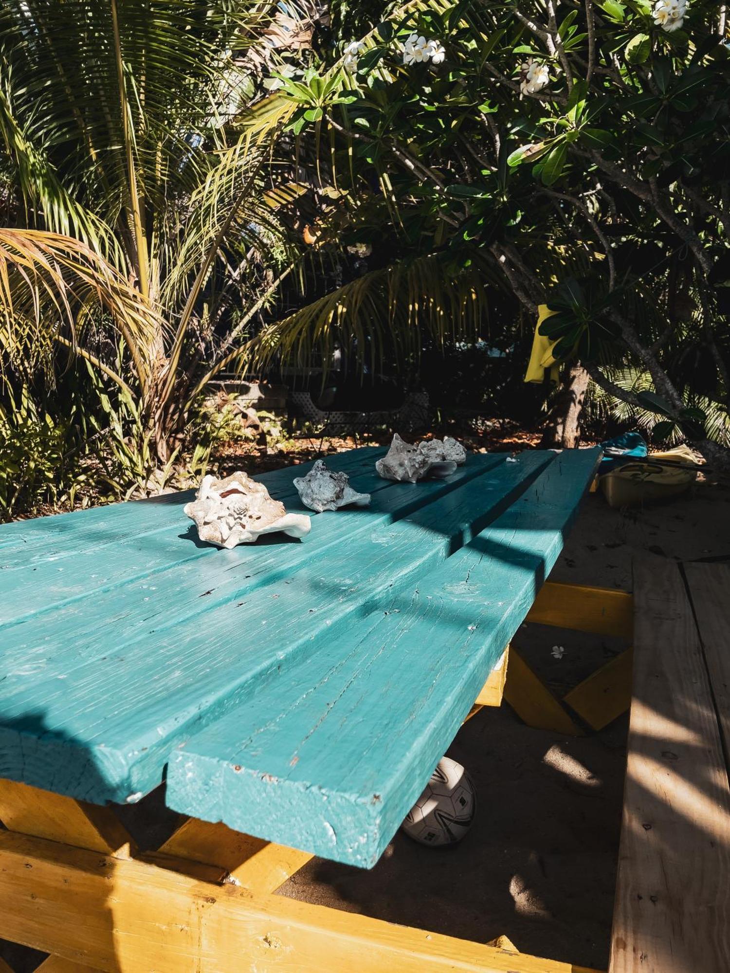 Anda Di Hows Hostel Placencia Luaran gambar