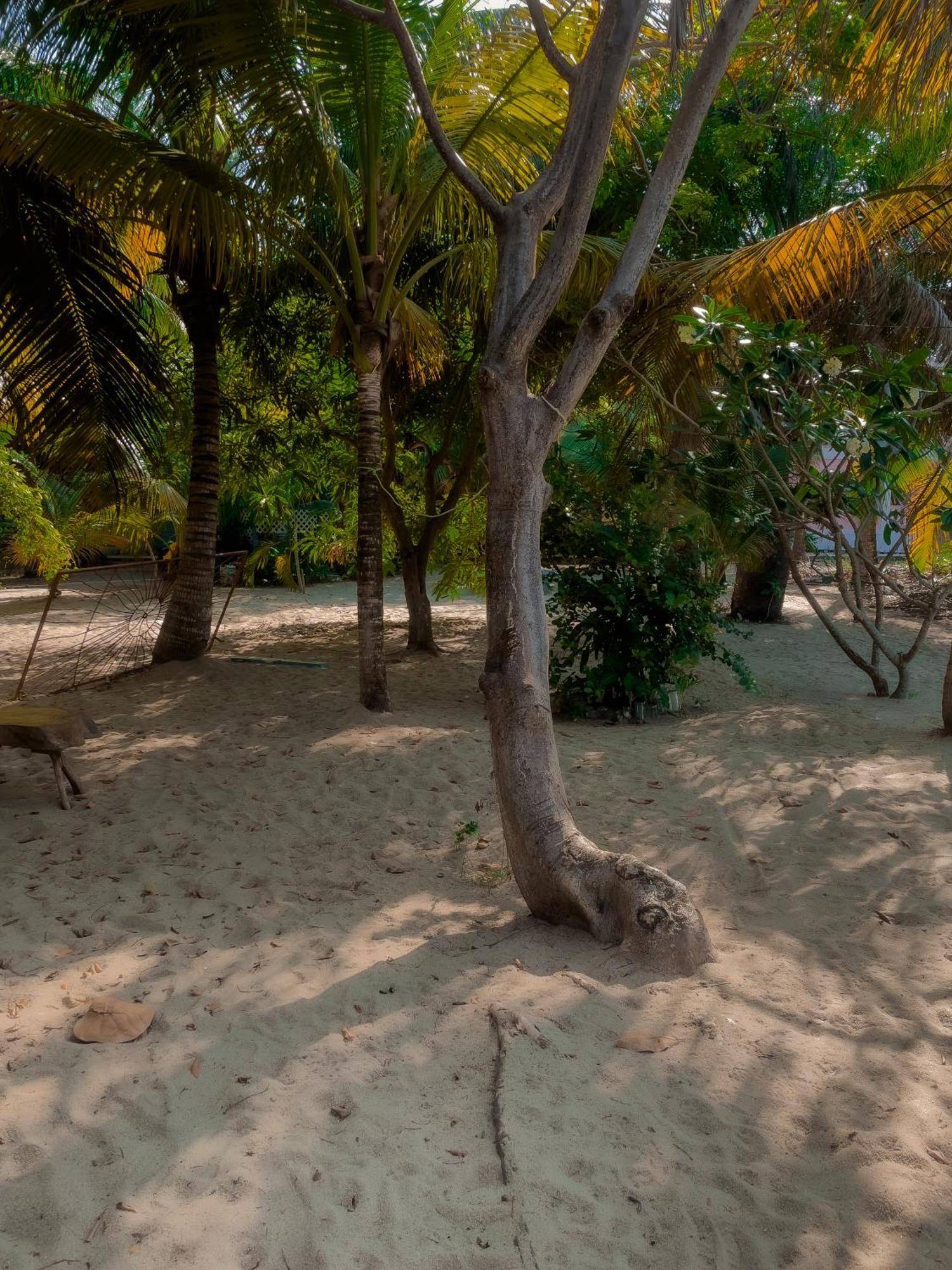 Anda Di Hows Hostel Placencia Luaran gambar