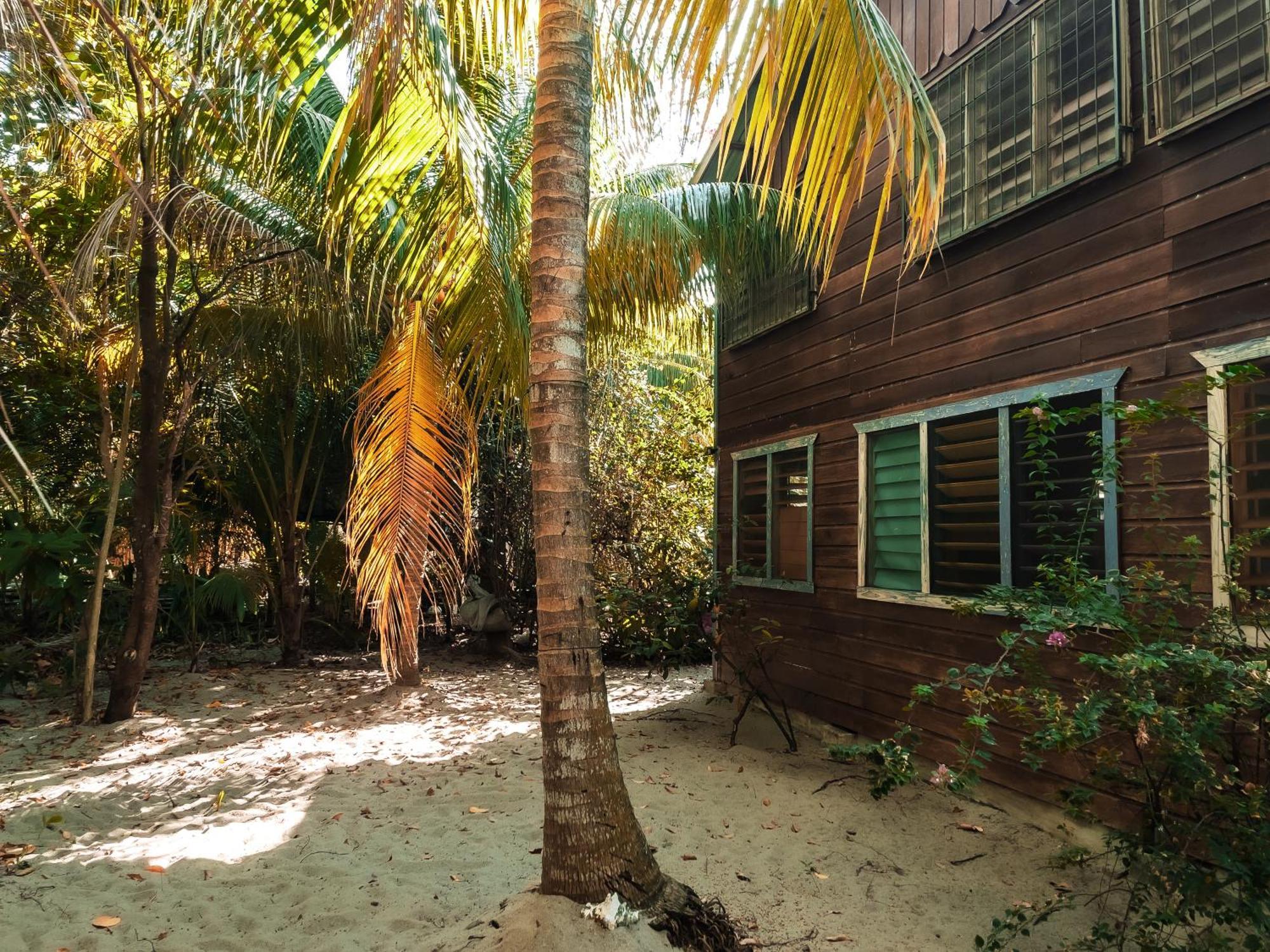 Anda Di Hows Hostel Placencia Luaran gambar