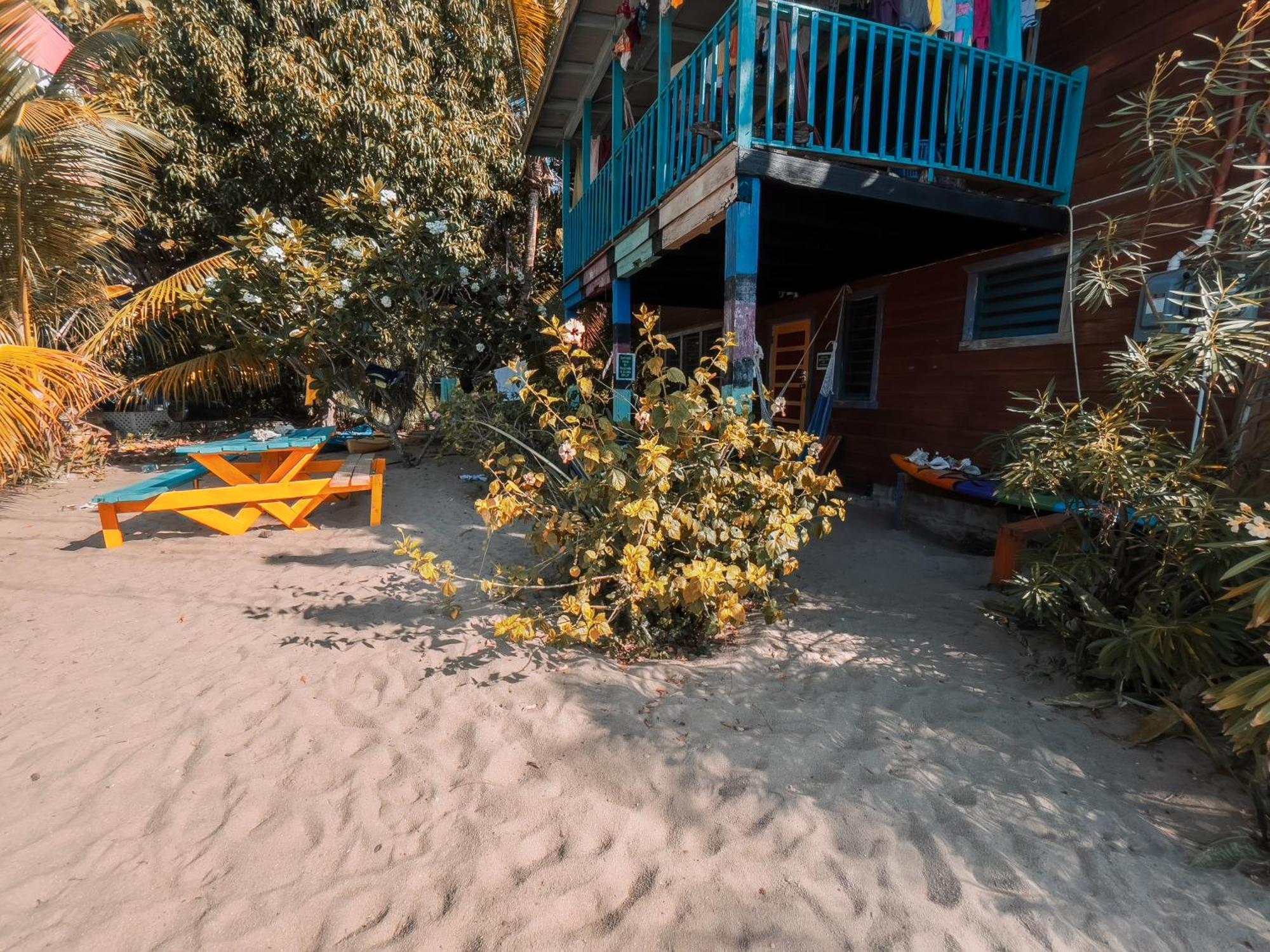 Anda Di Hows Hostel Placencia Luaran gambar