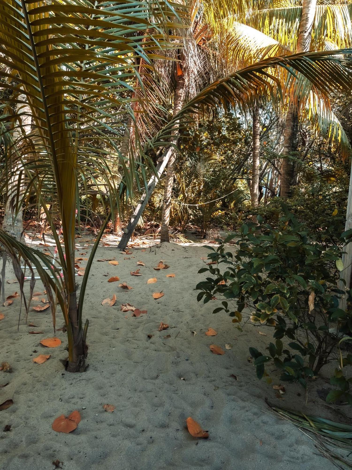 Anda Di Hows Hostel Placencia Luaran gambar