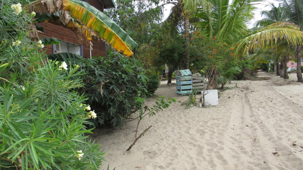 Anda Di Hows Hostel Placencia Luaran gambar