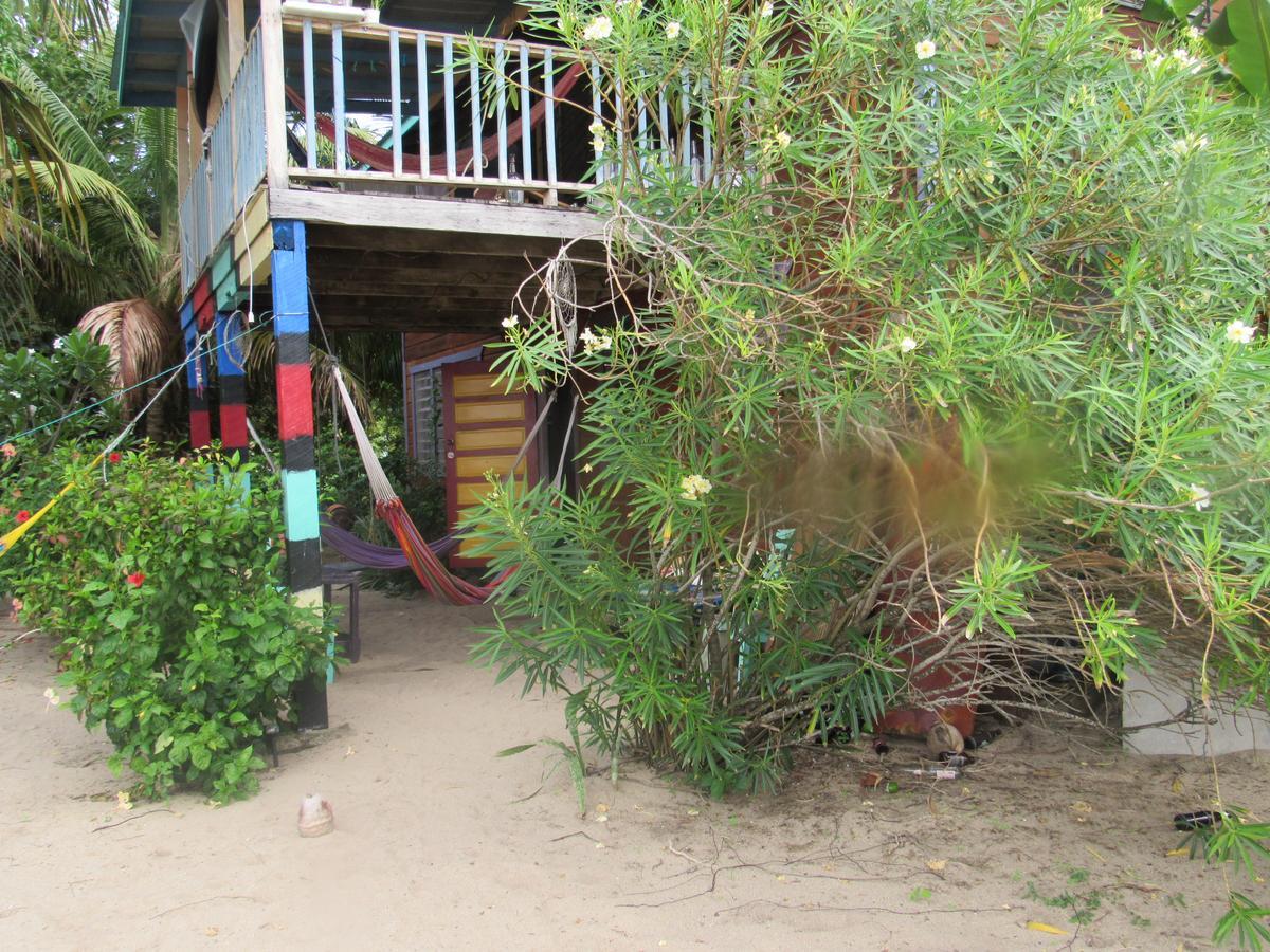 Anda Di Hows Hostel Placencia Luaran gambar