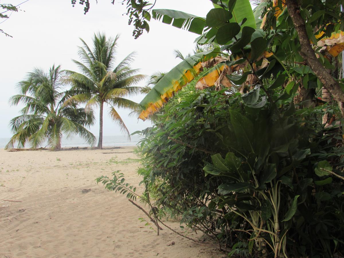 Anda Di Hows Hostel Placencia Luaran gambar